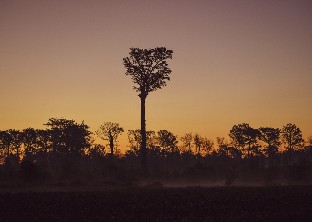 Warmest And Coldest Februaries In Duplin County North Carolina History