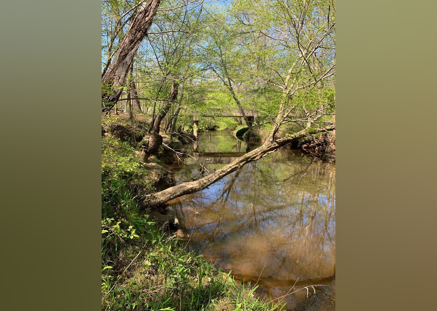 Highest Rated Campgrounds In Rocky Mount According To Yelp Stacker