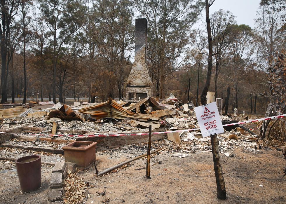 Les incendies en Australie ont déjà tué 1 milliard d animaux - déballant la tragédie à travers les statistiques 