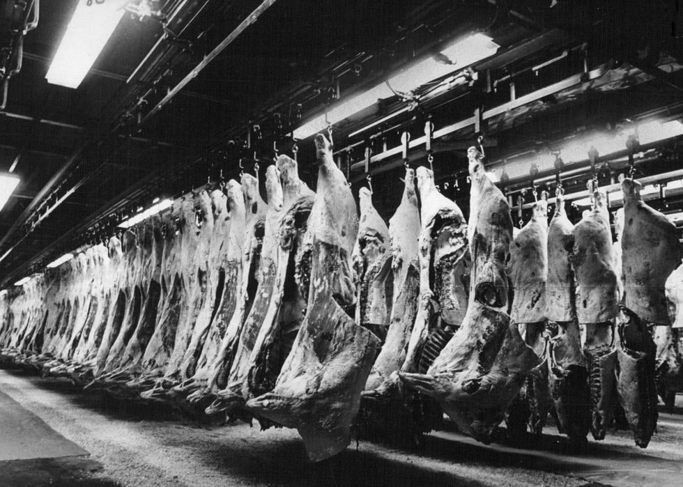 Histoire de l industrie américaine de la transformation de la viande 