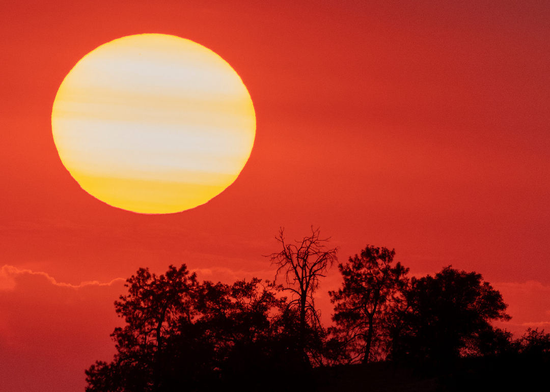 how-brownsville-feels-about-climate-change-stacker