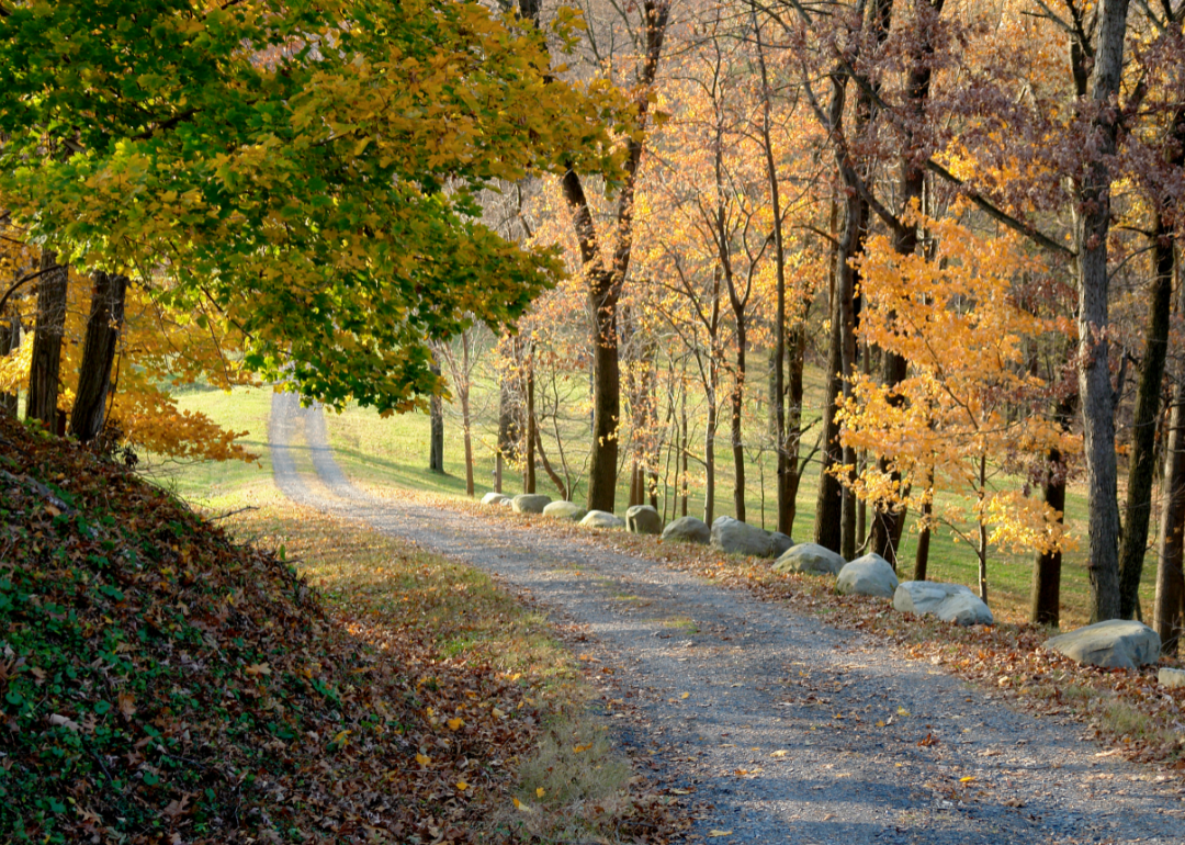 Warmest and Coldest January in Hanover County, Virginia History | Stacker Weather in virginia january