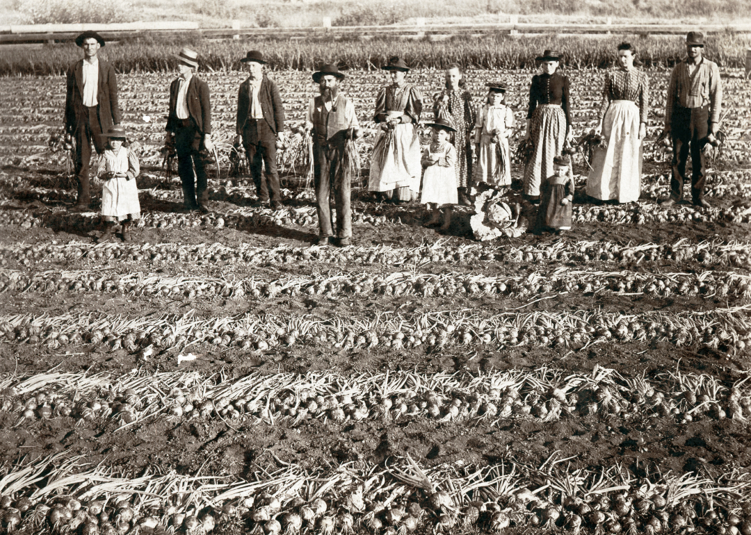 farmers 1800s