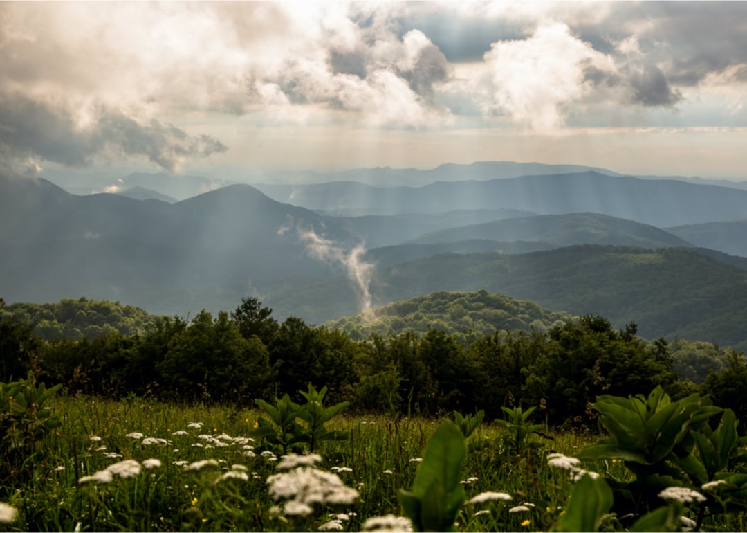 January Weather in North Carolina Overview