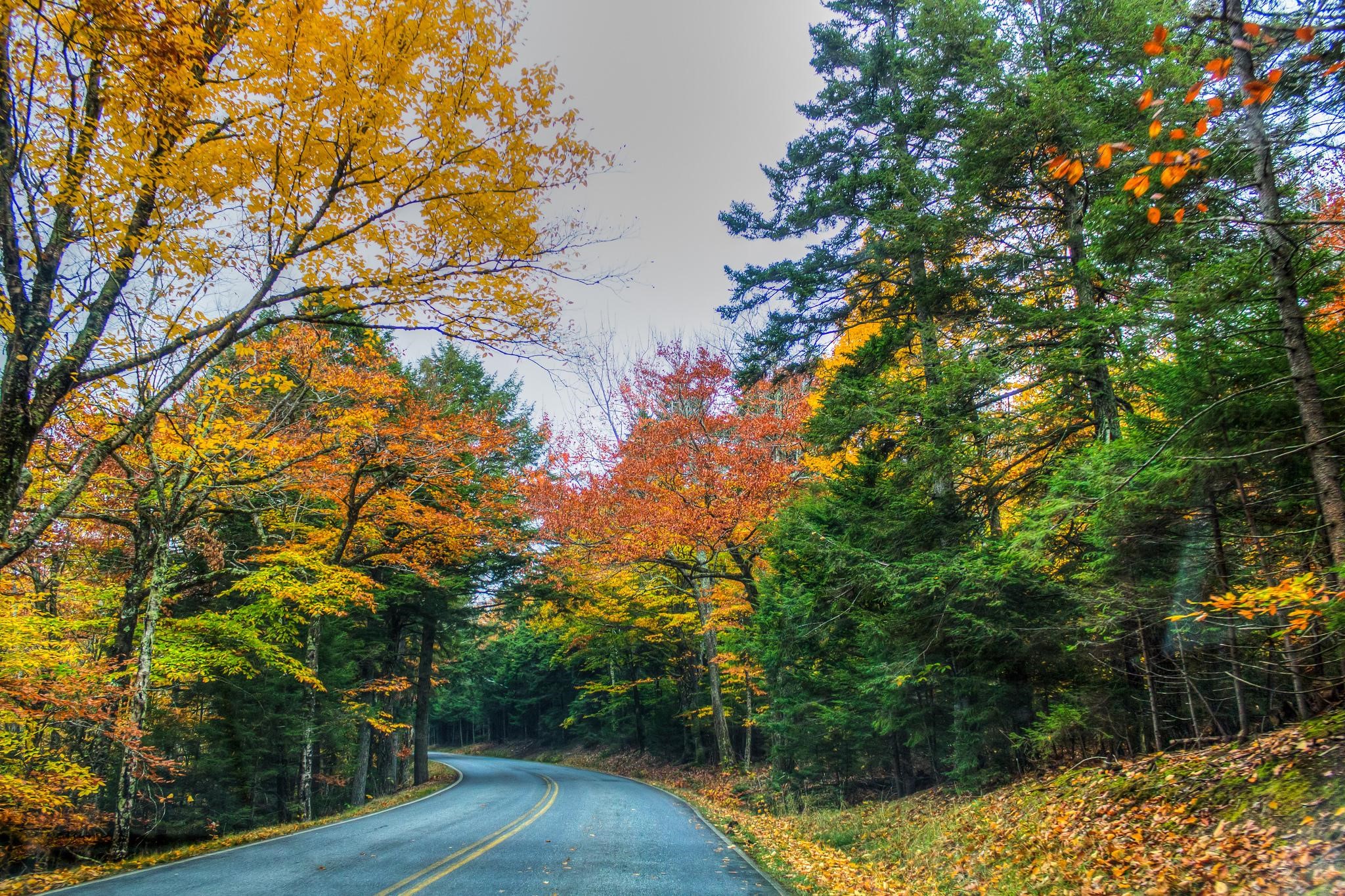 the-top-small-towns-for-taking-in-the-fall-foliage-stacker
