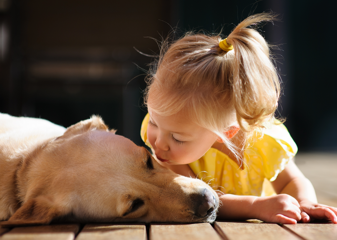most-popular-dog-breed-the-year-you-were-born-stacker