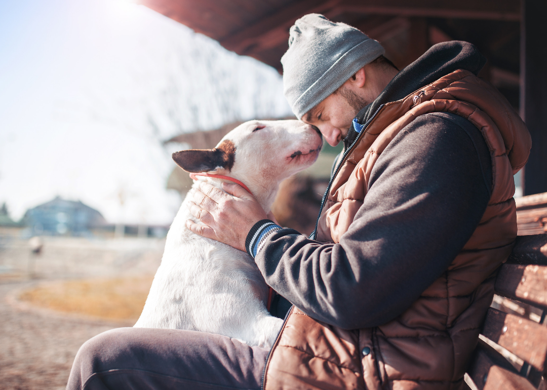 my dog saved my life stories