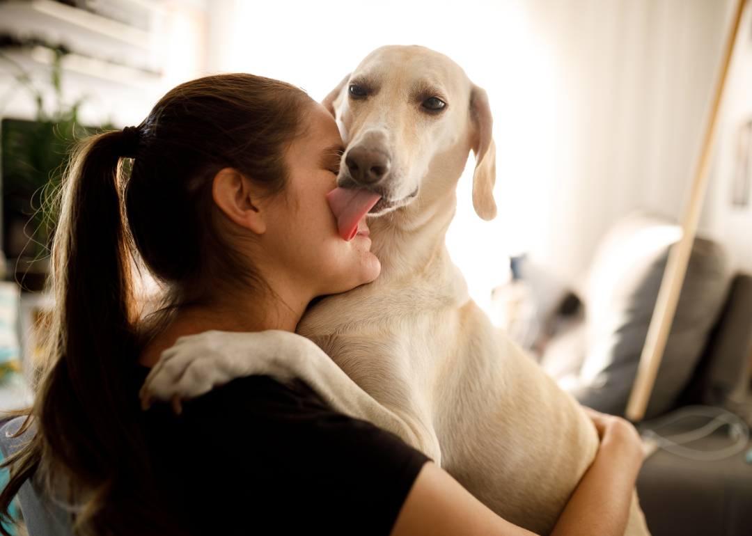 Is Licking A Sign Of Dominance In Dogs