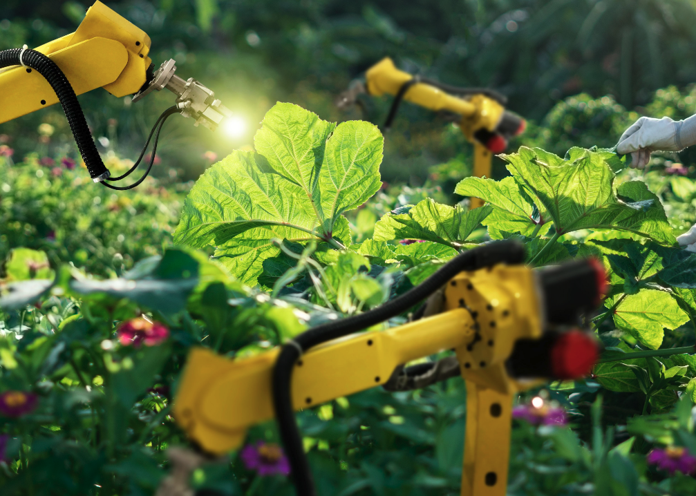 Smart robots working on fertilization and pollination.