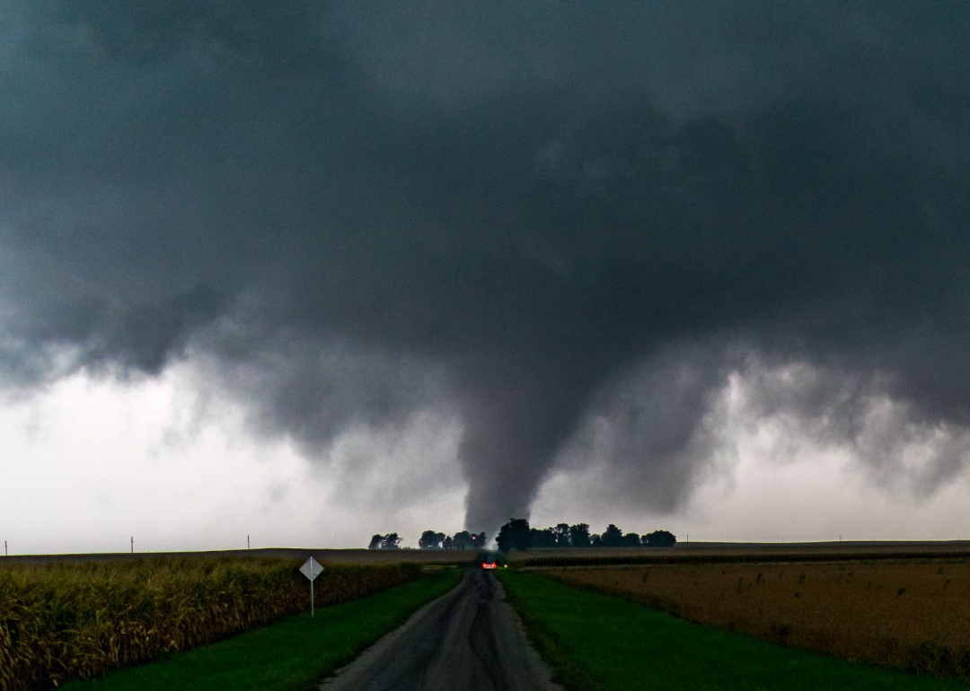 Why Does Lightning Strike? And Answers to 50 Other Weather Questions ...