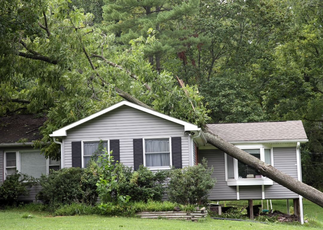 A fallen tree on top of a grey bungalow house.