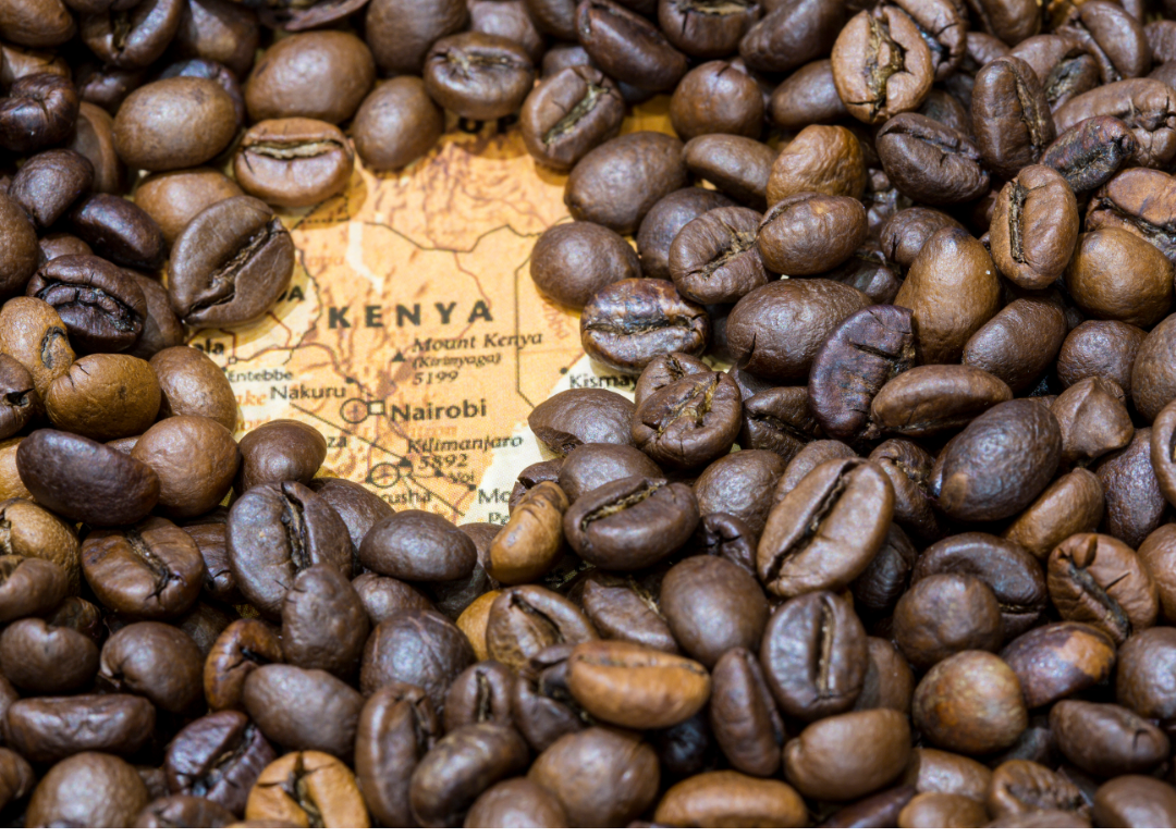 A map of Kenya covered with roasted coffee beans.