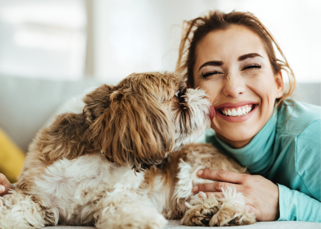 The Lassie effect: Movies drive our preference for certain dog breeds, Science