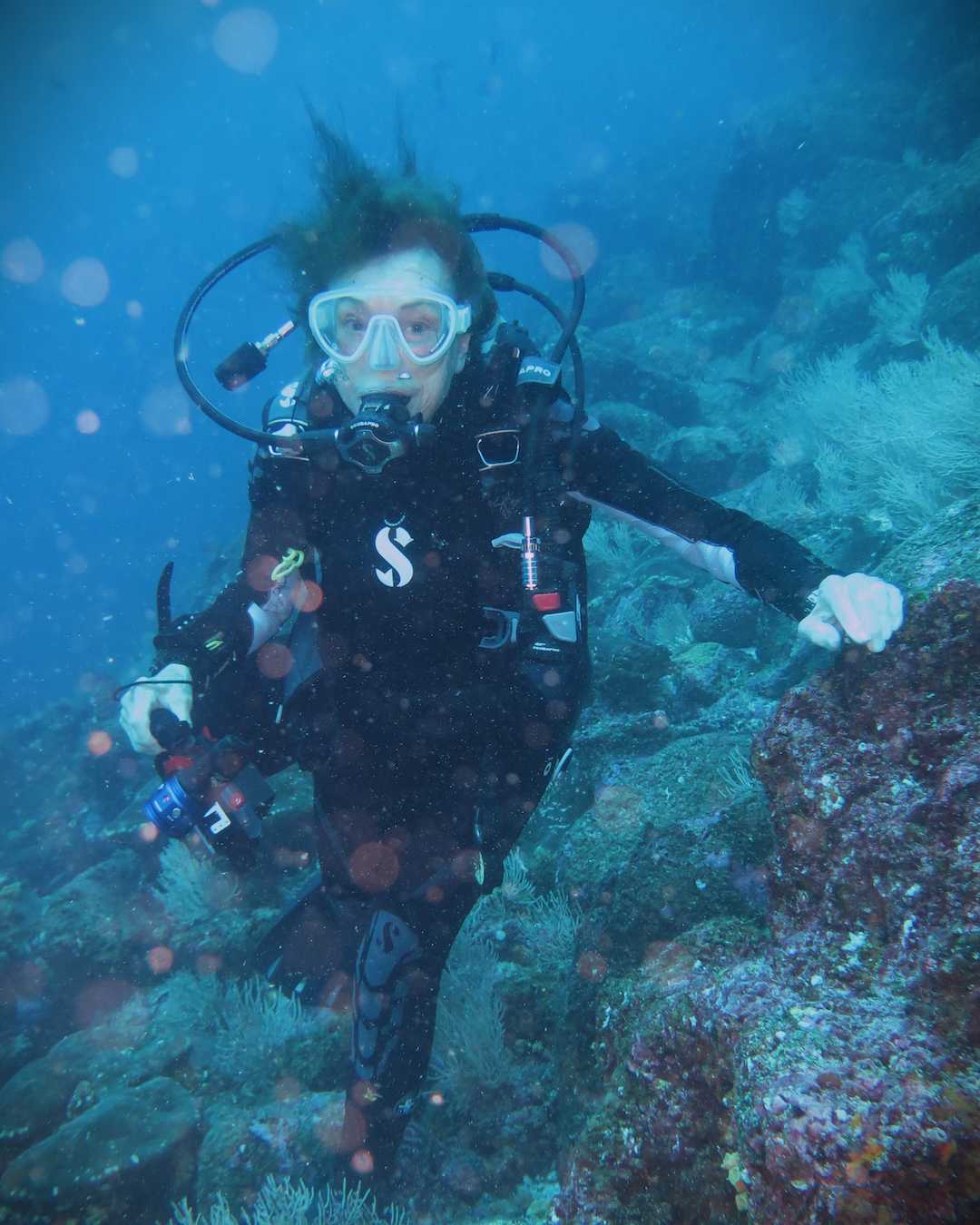 Sylvia Earle on a dive in the Galapagos