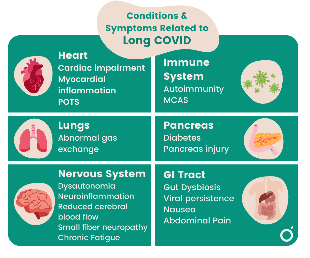 graphic showing Conditions & Symptoms Related to Long COVID