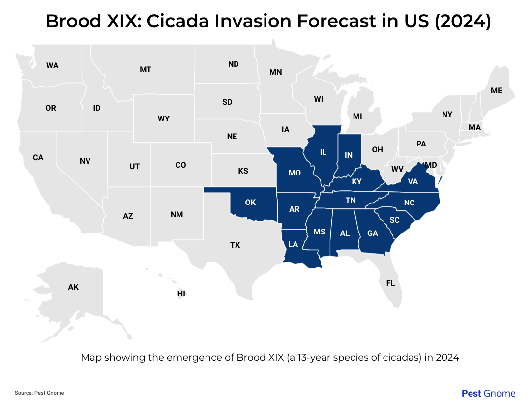 map showing where 13-year cicadas will emerge