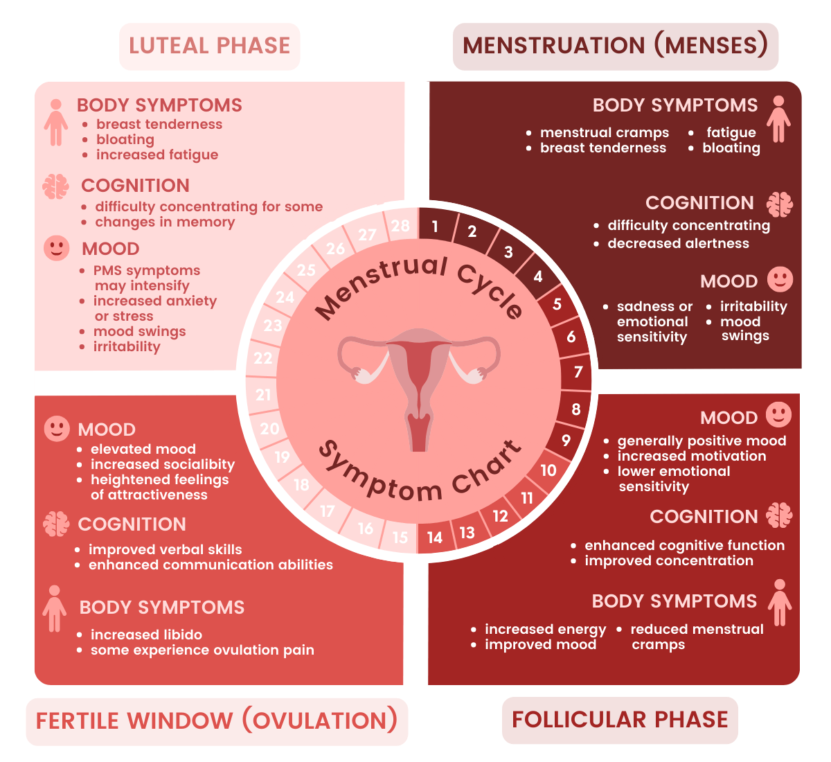 An infographic showing common symptoms associated with each phase of the menstrual cycle.