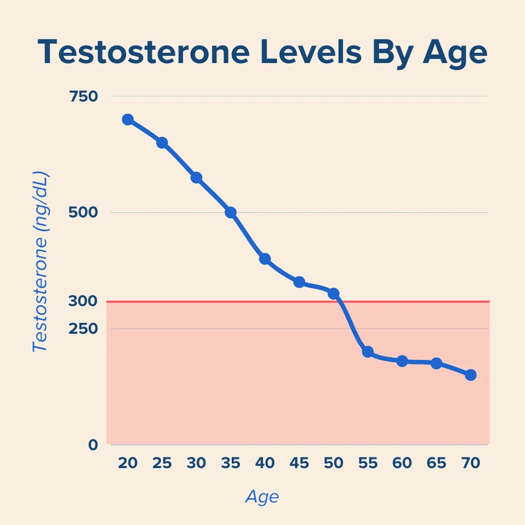 Linear graph showing results of "Testosterone Levels By Age".