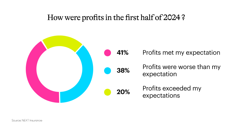 Graph showing results for “How were profits in the first half of 2024?”