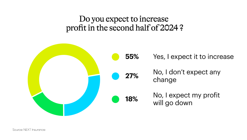 Graph showing results for “Do you expect profits to increase in the 2nd half of 2024?”