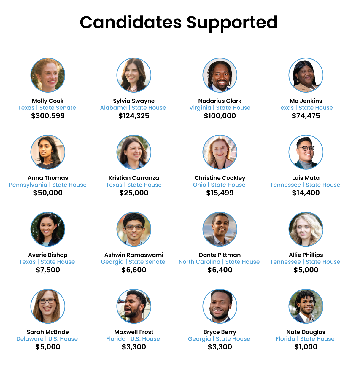 Infographic showing candidates supported