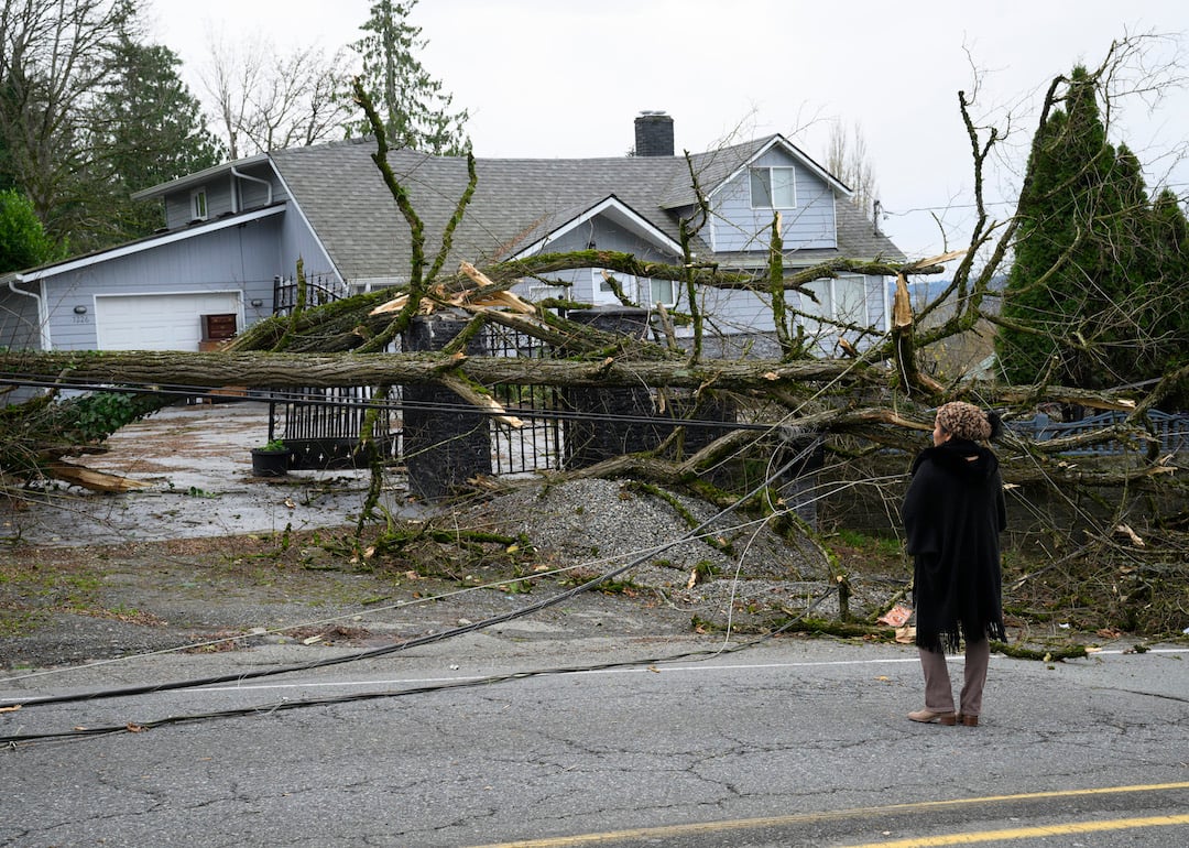 A resident stands in front of her property covered with downed power lines and trees on Nov. 20, 2024 in Lake Stevens, Washington, the result of a rare storm called a 'bomb cyclone.'