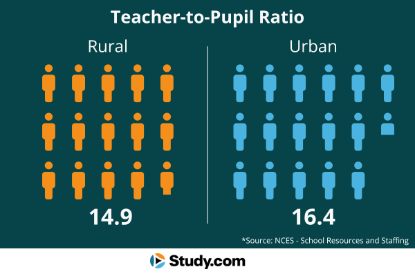 Infographic showing classes sizes.