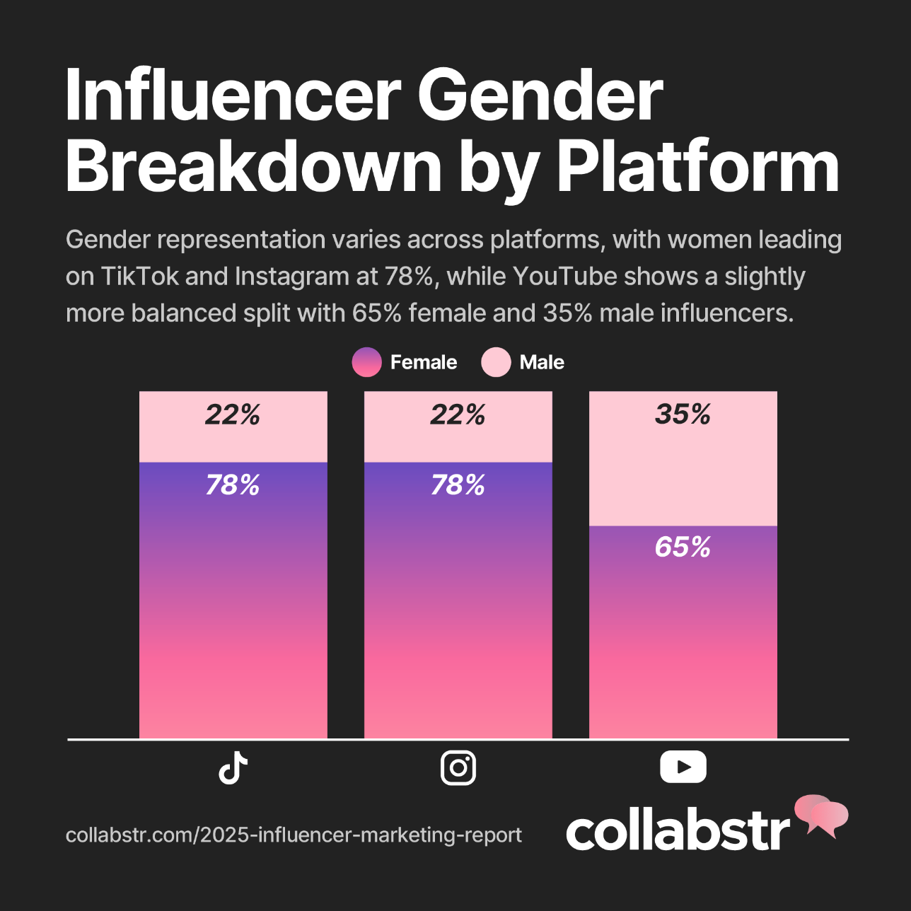 Chart showing influencer gender breakdown by platform.