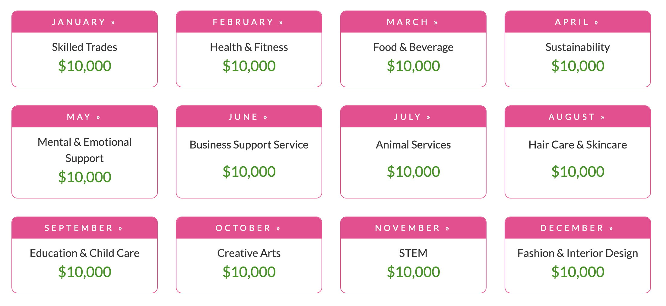 Iinfographic showing the 12 categories for each month in the Business-Specific Grant.