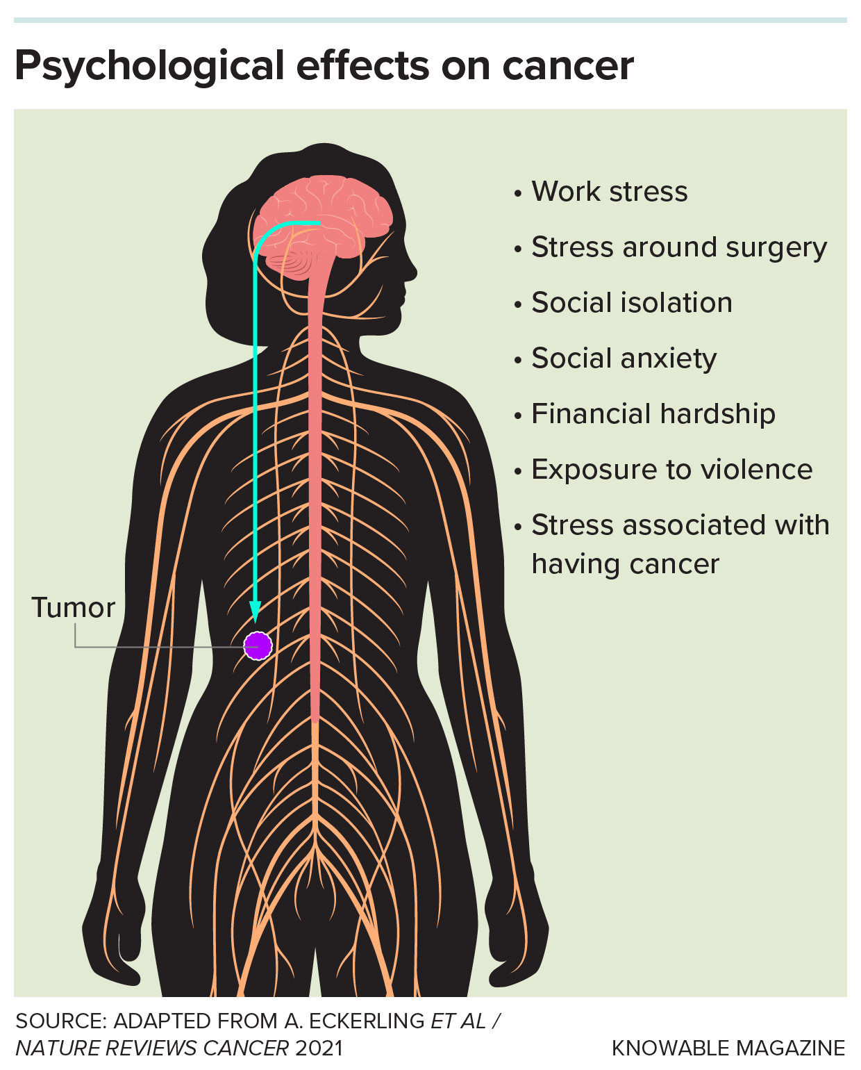 Infographic showing psychological effects on cancer.