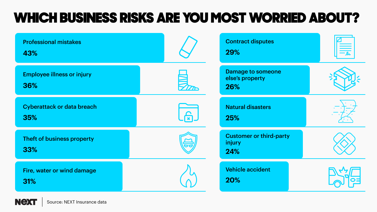 Infographic showing answers to question of which risks are business owners most worried about.