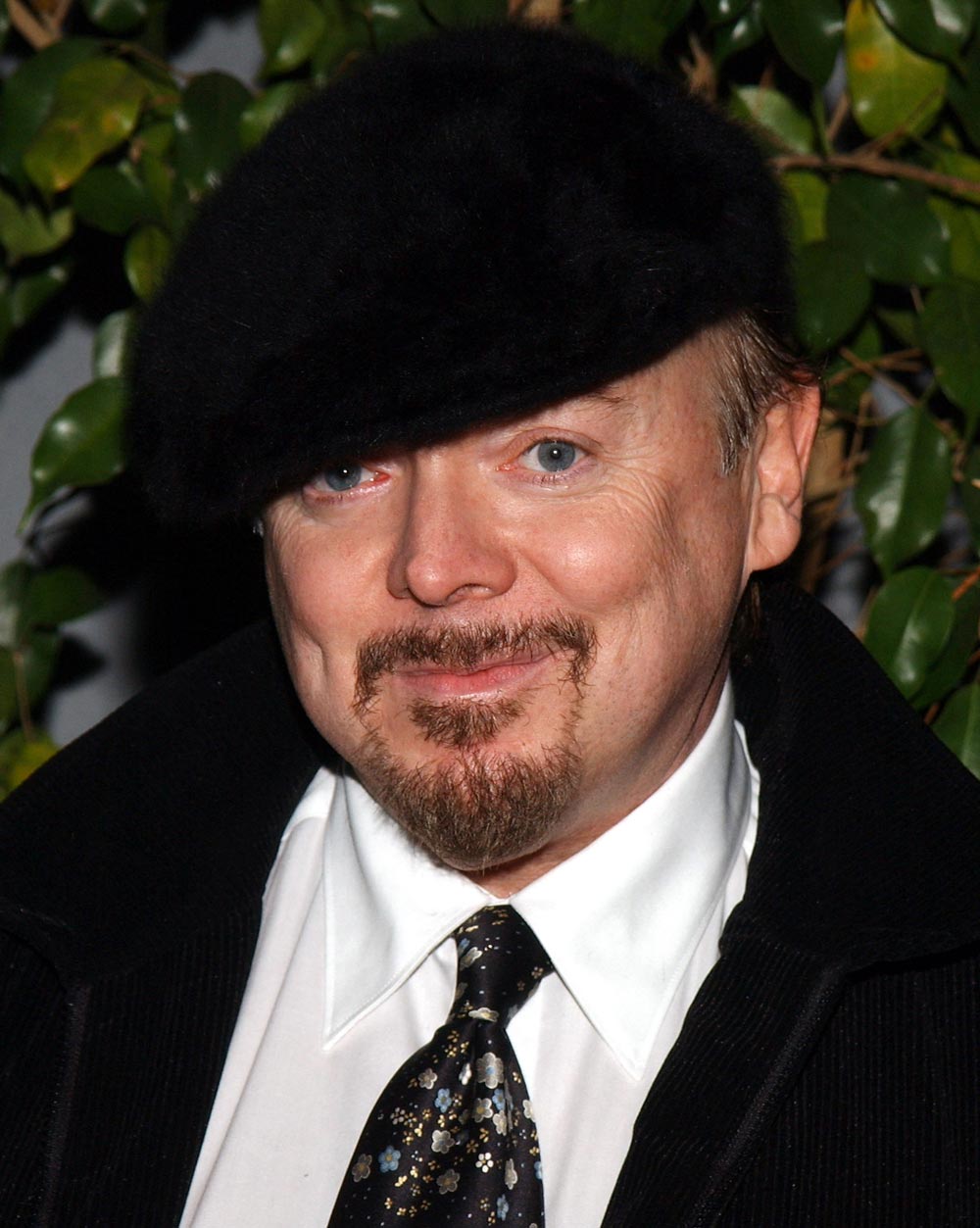 Bud Cort during "The Life Aquatic with Steve Zissou" Los Angeles Screening at Harmony Gold Theater in Hollywood