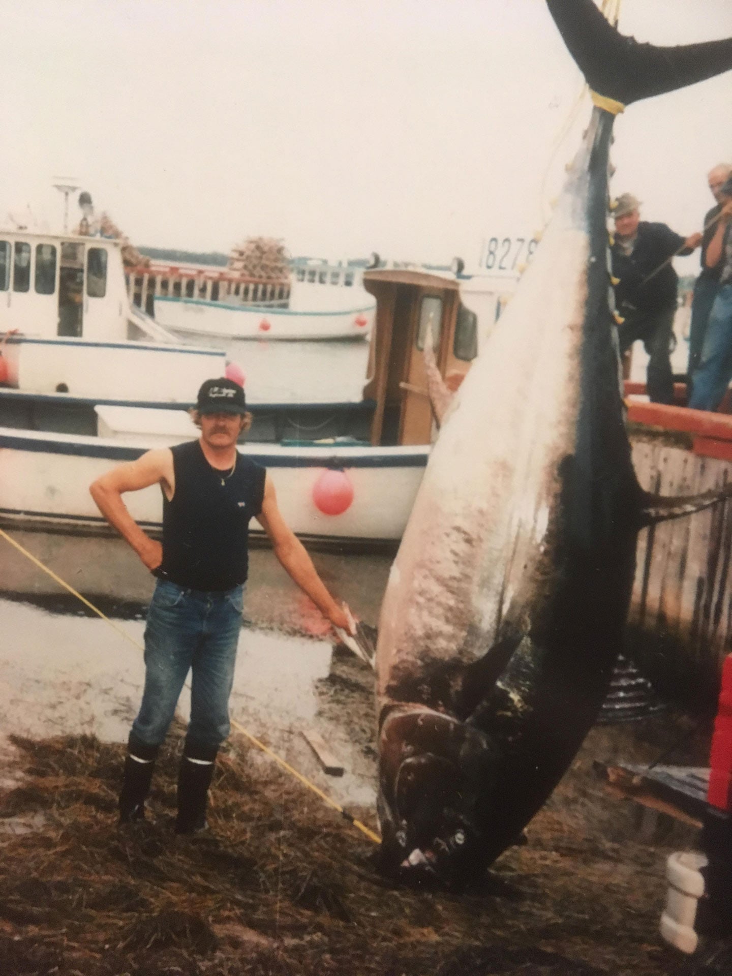 Man standing next a massive fish he caught