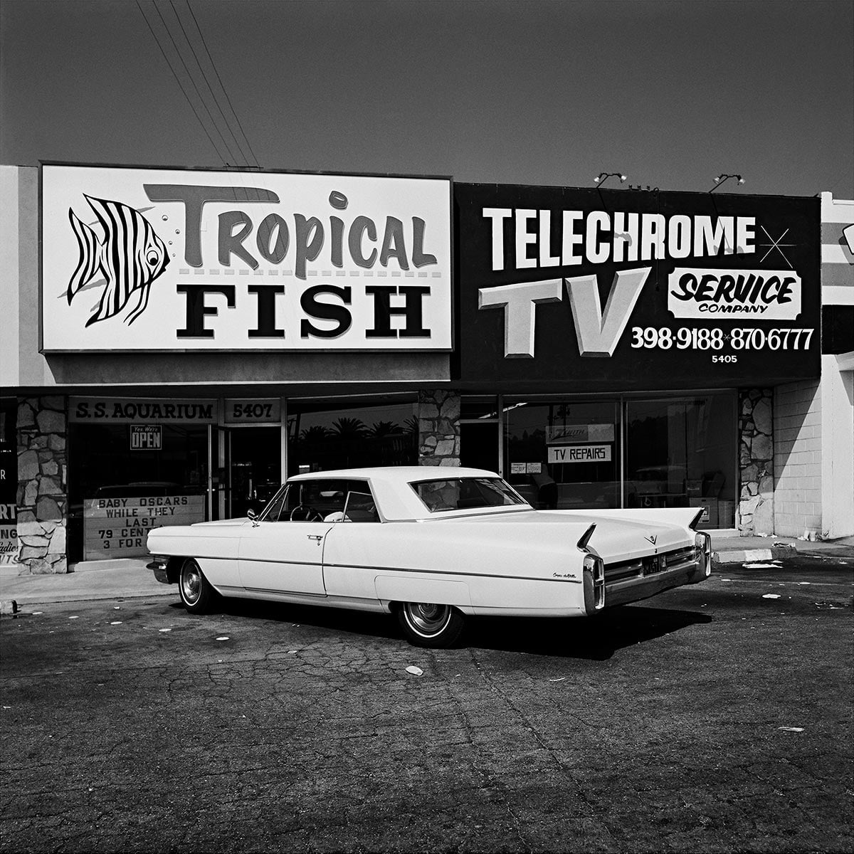 A white Cadillac parking outside of a strip all in LA in 1975