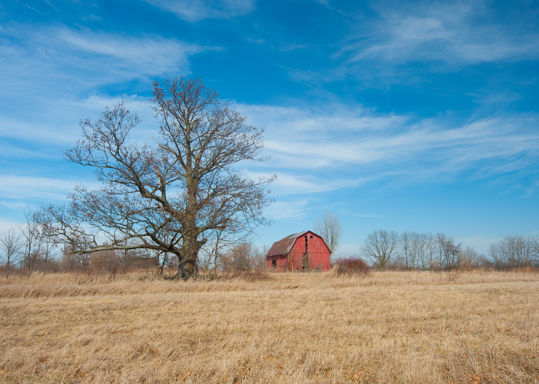Meigs's syndrome visual data 8