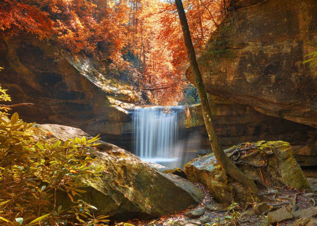 Warmest and Coldest January in Whitley County, Kentucky History | Stacker January weather in kentucky