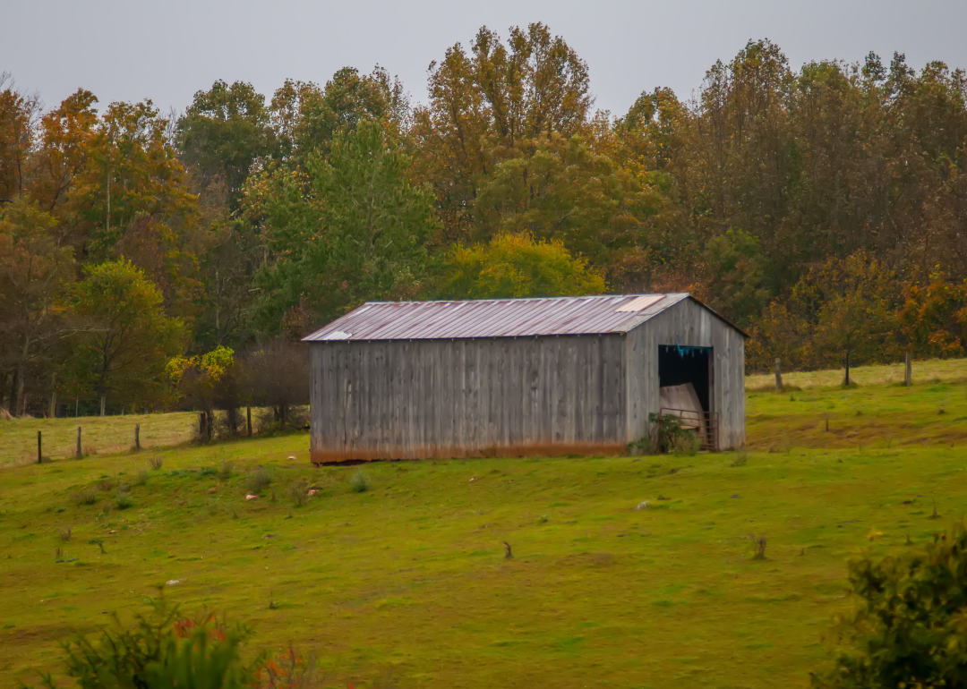 Weather in King William VA Essentials Weather in King William VA Essentials