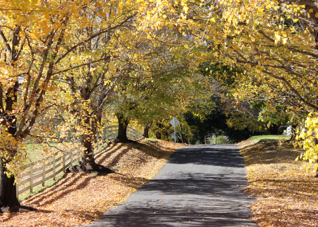 Warmest Decembers in Charlotte County, Virginia History Stacker