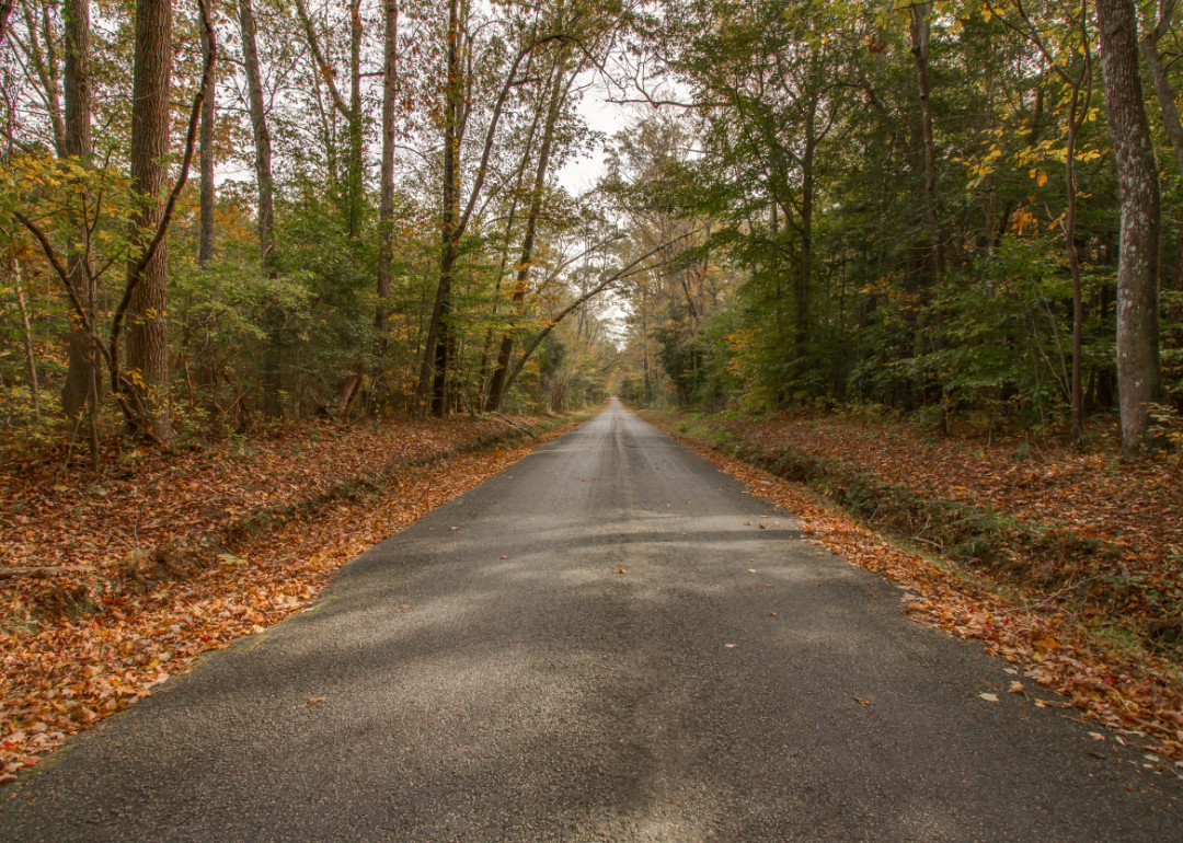 Warmest and Coldest Februaries in Dickenson County, Virginia History Stacker