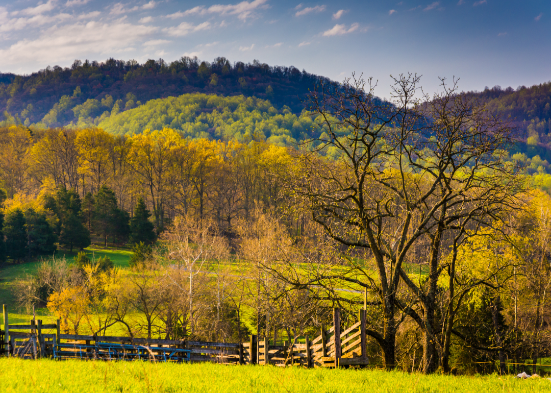 Weather in Virginia January Temperature and Precipitation Ranges
