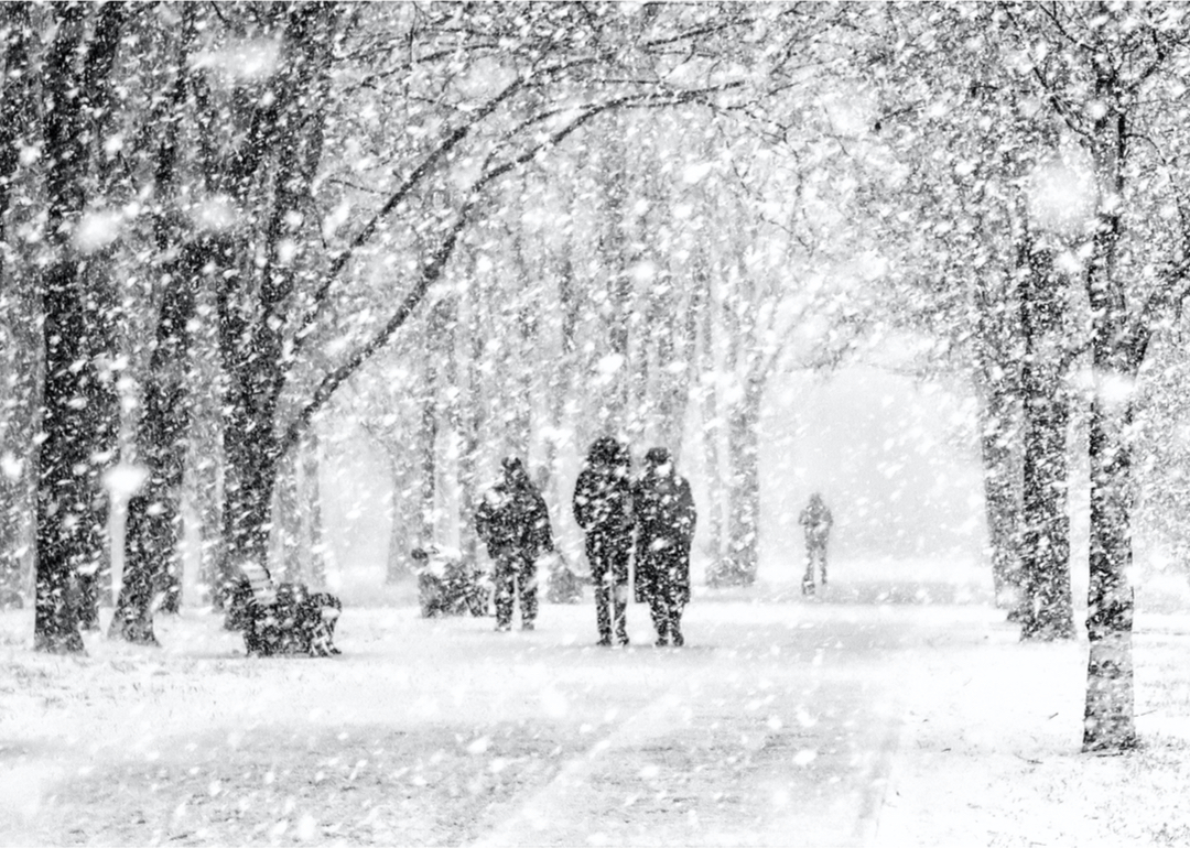 Here's How Much Snow Glacier County, Montana Received In January 