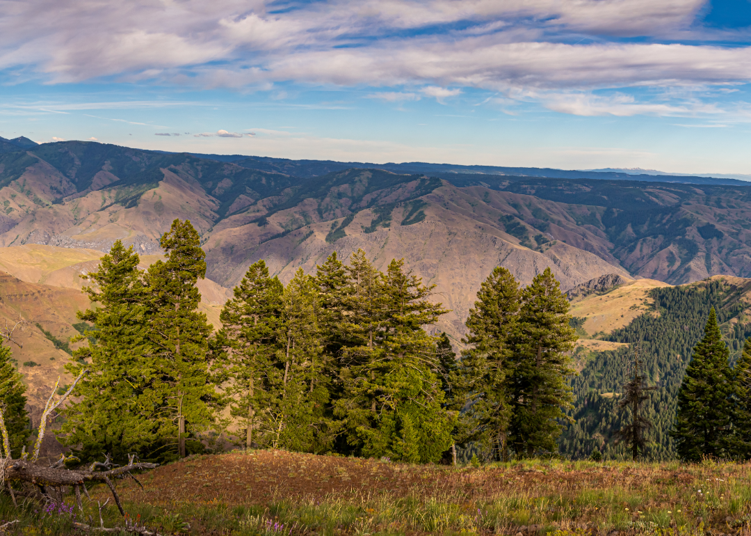 Warmest and Coldest January in Asotin County, Washington History Stacker