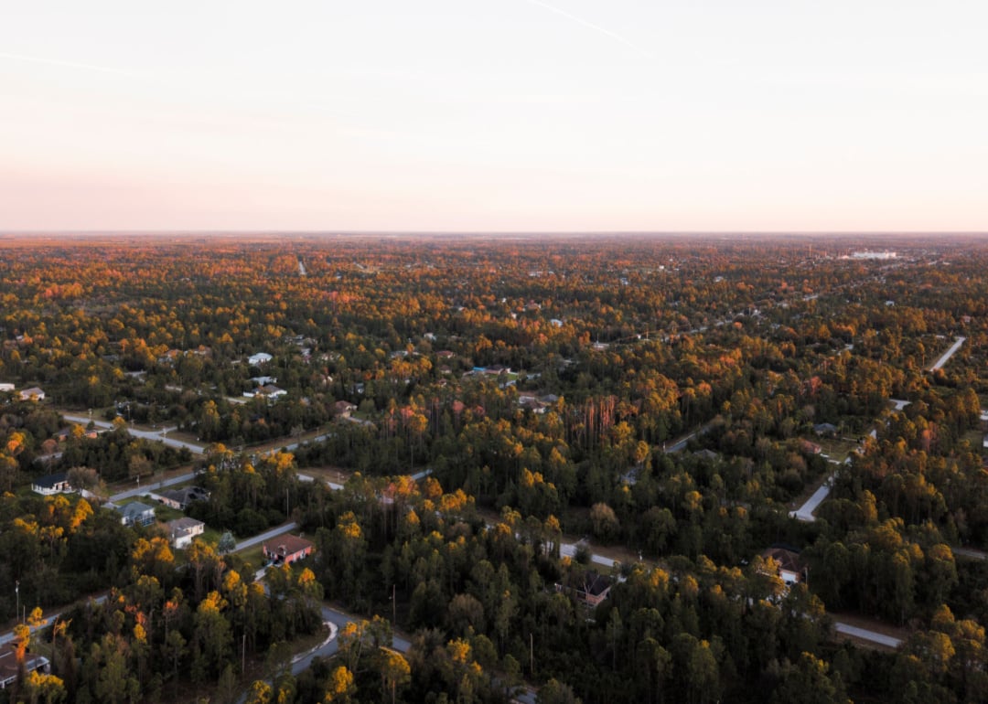 An aerial view of homes surrounded by trees.