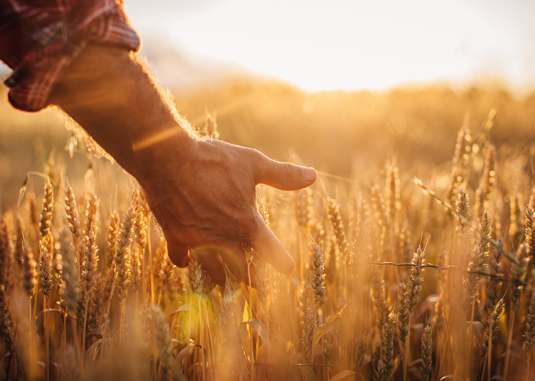 Climate Change is Lengthening Growing Seasons: How It's Impacting Every ...