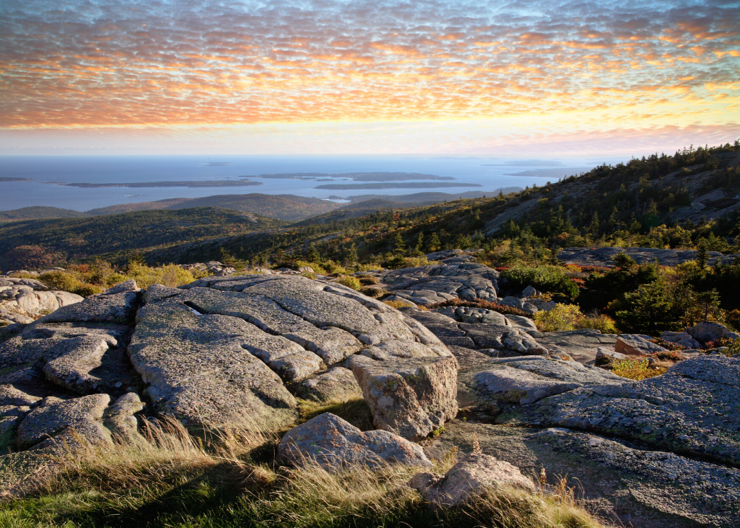 See How Many Dinosaur Fossils Are in Maine Stacker