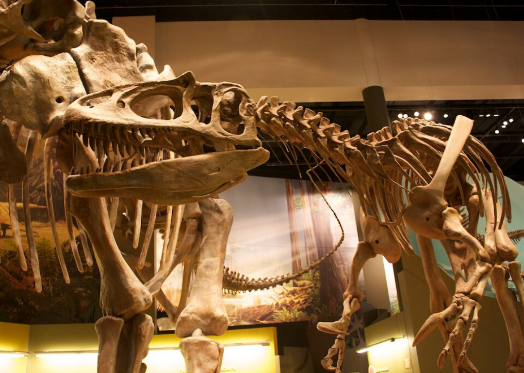 See How Many Dinosaur Fossils Are in Oklahoma | Stacker