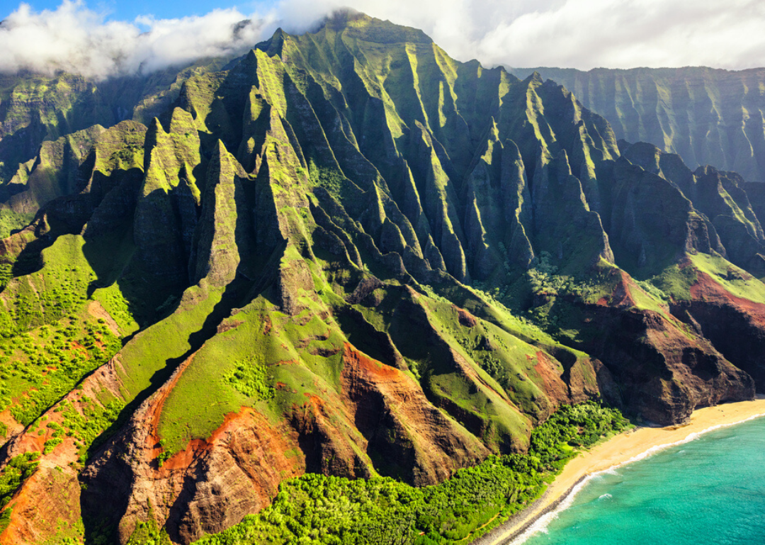 See How Many Dinosaur Fossils Are in Hawaii Stacker
