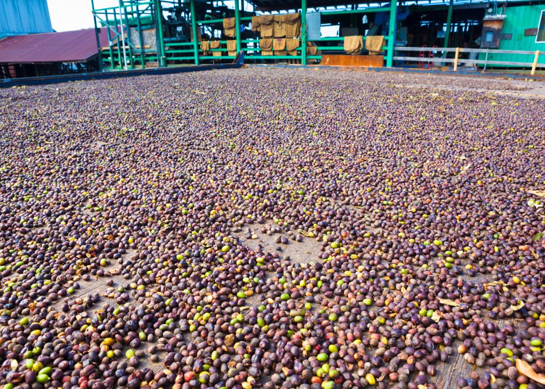 most-valuable-crops-grown-in-hawaii-stacker