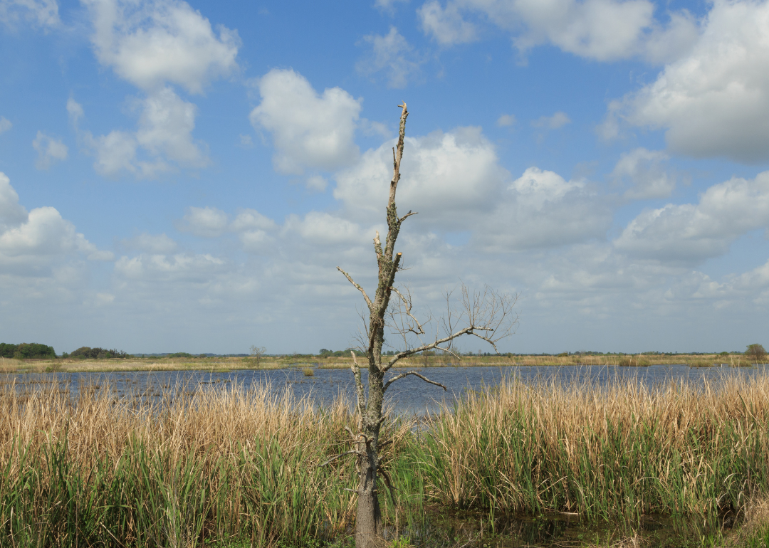 Warmest Decembers in Jasper County, South Carolina History Stacker