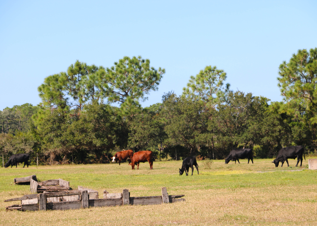 Warmest Decembers in Highlands County Florida History Stacker